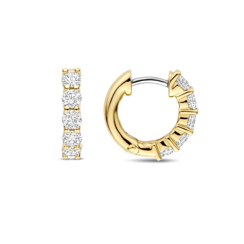 Øreringer i forgylt sølv